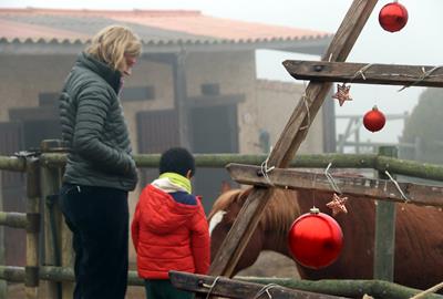 Celebrar el Nadal a una casa rural, una opció a l'alça entre famílies i parelles que busquen desconnectar de la ciutat. ACN