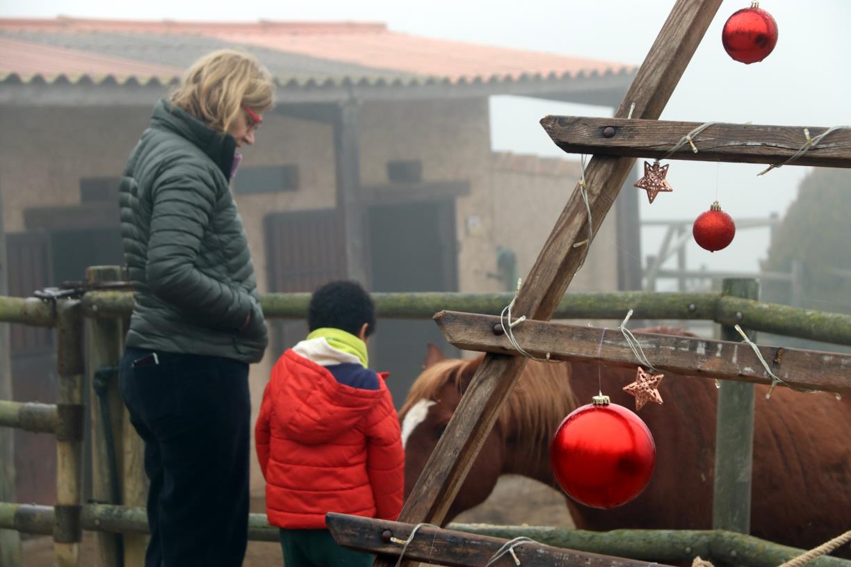 Celebrar el Nadal a una casa rural, una opció a l'alça entre famílies i parelles que busquen desconnectar de la ciutat. ACN