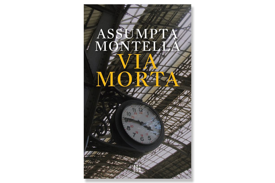 Coberta de 'Via morta' d'Assumpta Montellà. Eix
