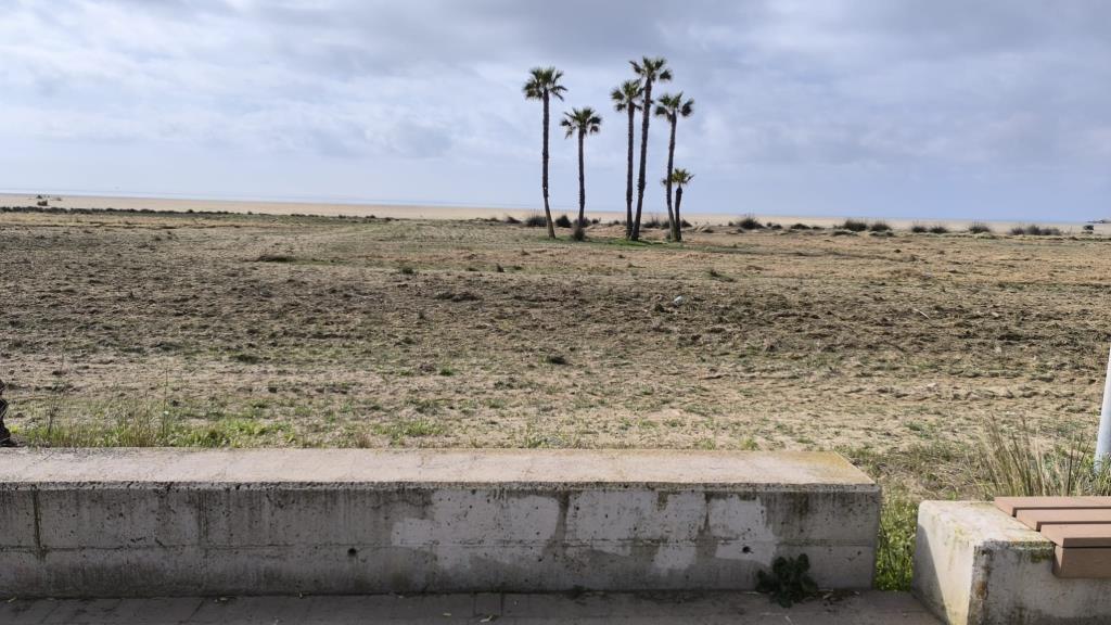 Coma-ruga tindrà un espai habilitat per anar a la platja amb gossos a partir del maig. Ajuntament del Vendrell