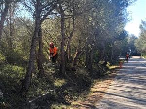 Comencen les obres de condicionament i millora de seguretat del camí de Moja a Daltmar. Ajuntament d'Olèrdola