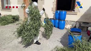 Cop policial al narcotràfic amb epicentre al Garraf i Penedès: desarticulades tres xarxes criminals de droga i armes
