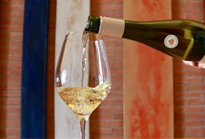 Creix l'interès pel vi sense alcohol: De 