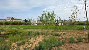 Cunit transforma la Plana del Castell en un 