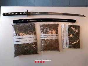 Detenen un home per cultivar 144 plantes de marihuana a una casa d'una urbanització de Piera. ACN