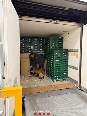 Detingut a Sant Sadurní un home que transportava 130 quilos de droga amagada en un camió