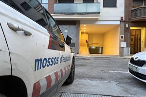 Detingut un home de 37 anys per la mort violenta de la seva mare al Vendrell. ACN
