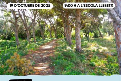 Ecocursa d’Orientació per l’Ortoll. Eix