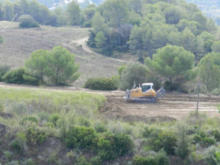 Ecologistes denuncien a la Fiscalia les obres de l’Agroparc de Gelida per posar en perill l’àliga cuabarrada. Bosc Verd