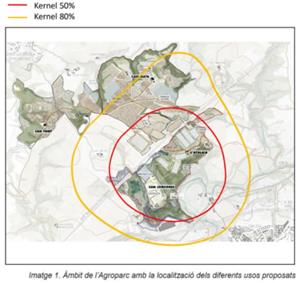 Ecologistes denuncien a la Fiscalia les obres de l’Agroparc de Gelida per posar en perill l’àliga cuabarrada