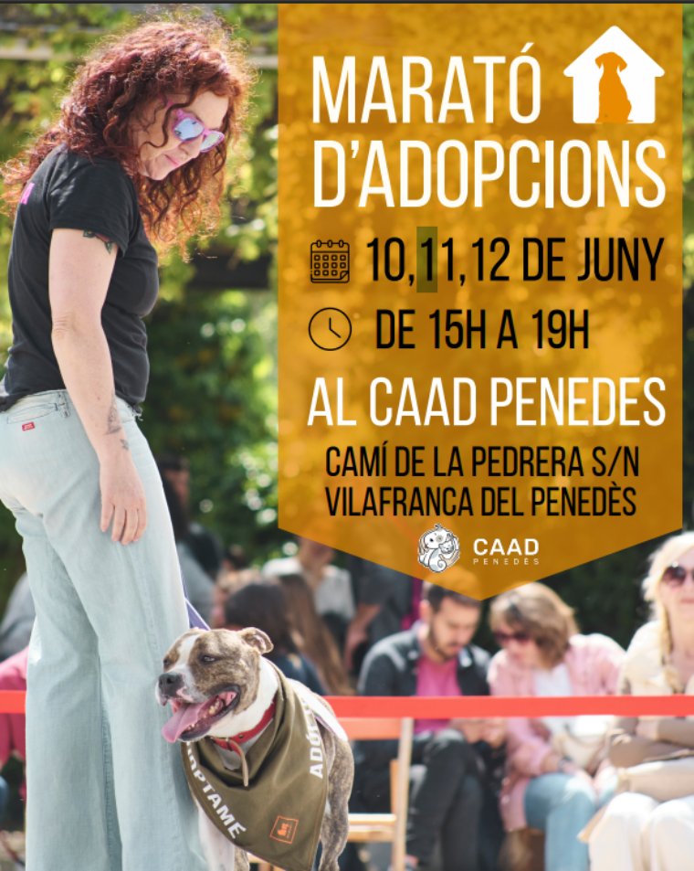 El CAAD Penedès llança la campanya “20 llars per a 20 gossos” per fomentar l’adopció abans de l’estiu. EIX