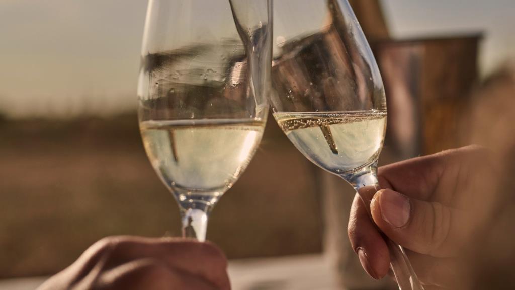 El cava brilla als Decanter World Wine Awards 2025 amb una medalla Platinum i vuit d'Or. AECAVA