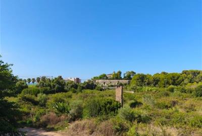 El Consell de Medi Ambient de Vilanova dona suport a preservar l’Ortoll com a sòl no urbanitzable. Ajuntament de Vilanova