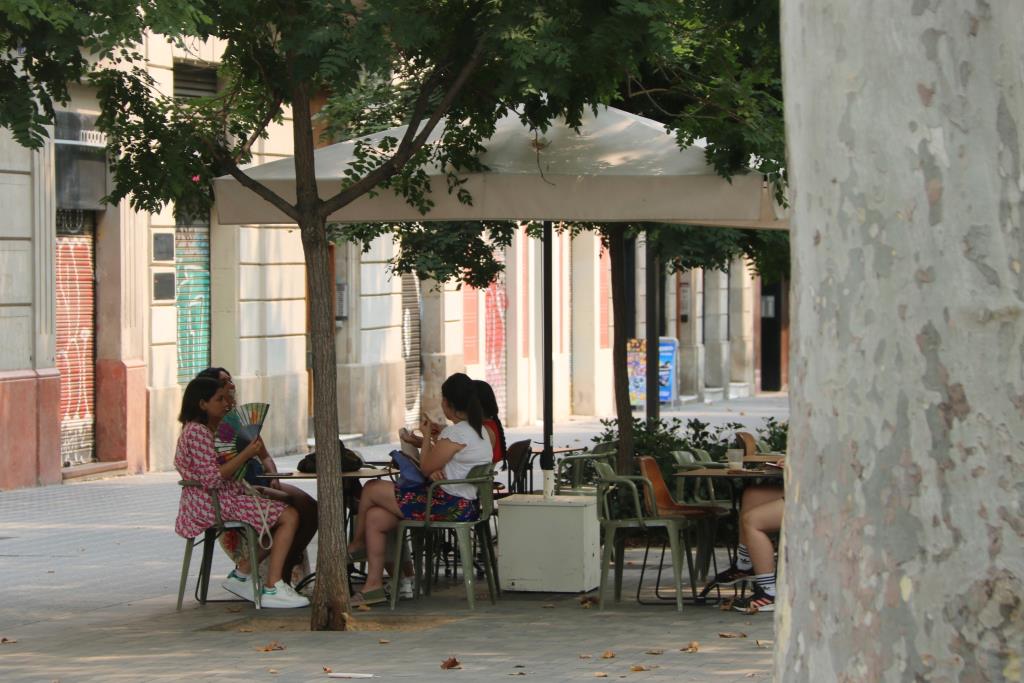 El fum dels incendis a Espanya frena les temperatures, que se situen per sota de l'esperat. ACN