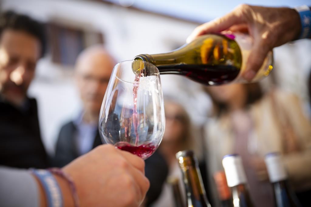 El Microvi 2025 arrenca amb força i dues cites ineludibles: el vi com a fil conductor de territori i història a Avinyonet del Penedès. Ajuntament d'Av