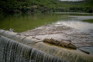 El pantà de Foix. Amadeu Torné Güell
