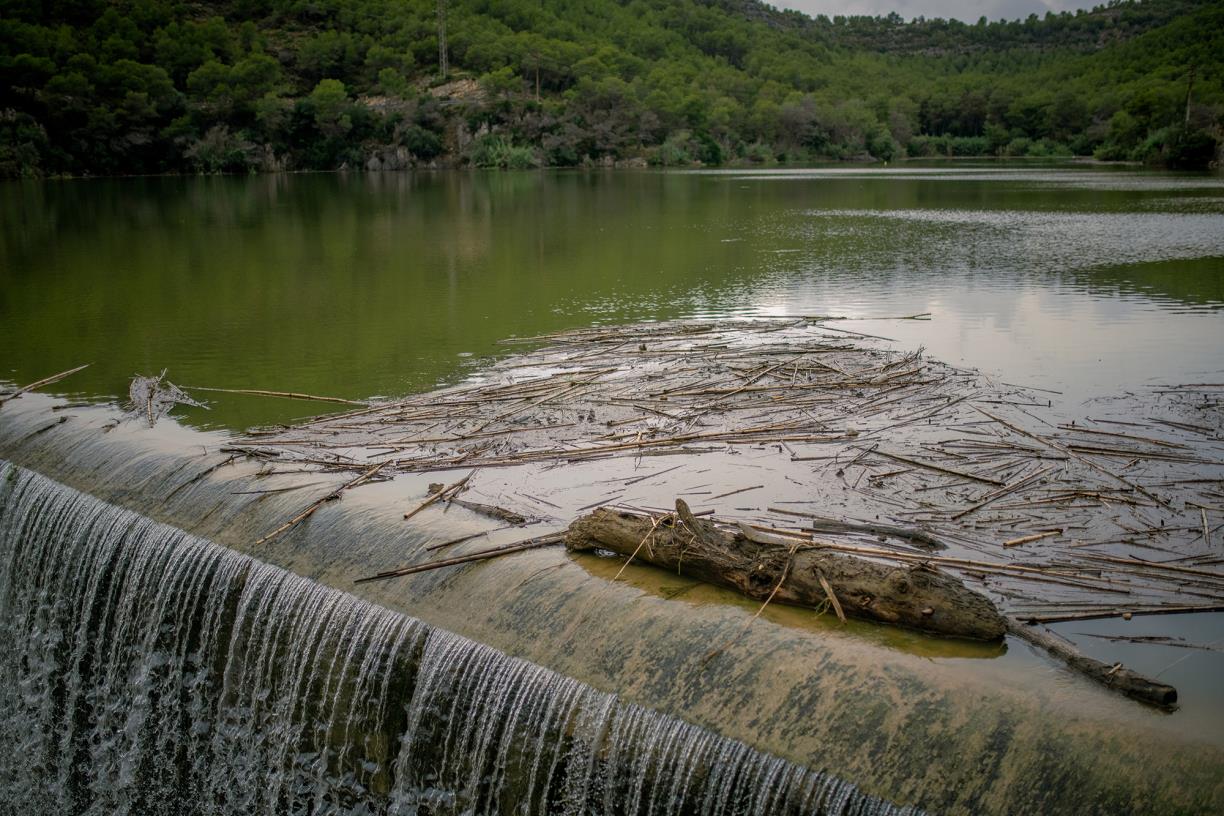 El pantà de Foix. Amadeu Torné Güell
