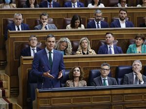 El president espanyol, Pedro Sánchez, a la sessió de control del Congrés. ACN
