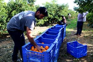 Els afiliats a la Seguretat Social augmenten a totes les comarques excepte l'Alta Ribagorça a l'octubre. ACN