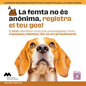 Els ajuntaments de la Conca d’Òdena impulsen el registre genètic dels gossos per combatre els excrements al carrer. EIX