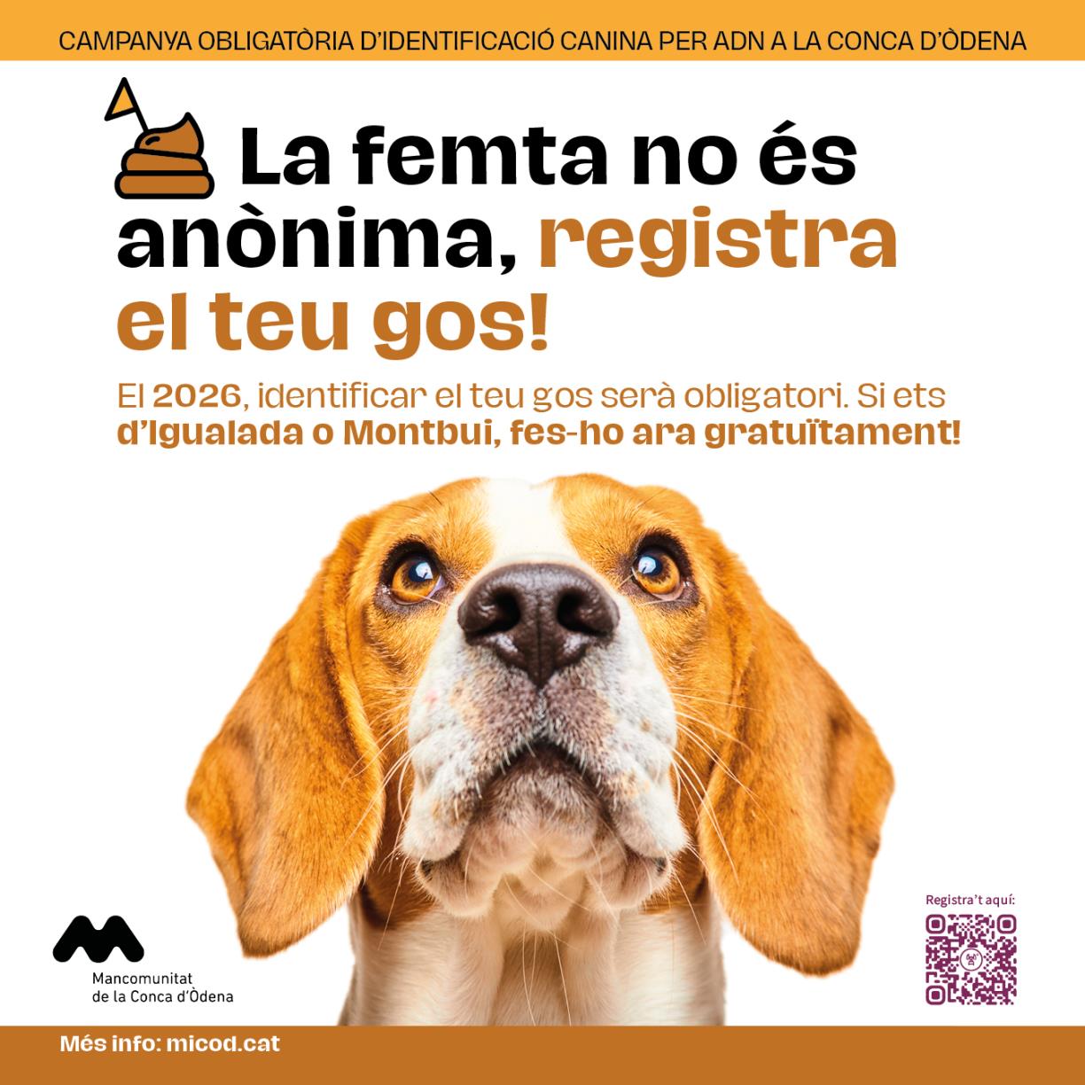 Els ajuntaments de la Conca d’Òdena impulsen el registre genètic dels gossos per combatre els excrements al carrer. EIX