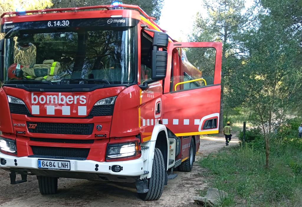 Els bombers treballant en un incendi forestal. Eix