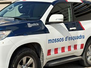 Els Mossos del Garraf alerten: sis delinqüents acumulen 75 detencions en només un any