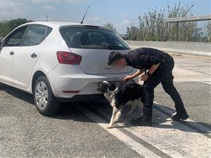 Els Mossos d’Esquadra reforcen la vigilància a l’AP-7 amb un gran dispositiu conjunt a les portes de Setmana Santa
