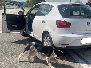 Els Mossos d’Esquadra reforcen la vigilància a l’AP-7 amb un gran dispositiu conjunt a les portes de Setmana Santa