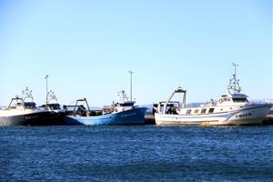 Els pescadors catalans no descarten la insubmissió en cas que la proposta de quotes de Brussel·les 