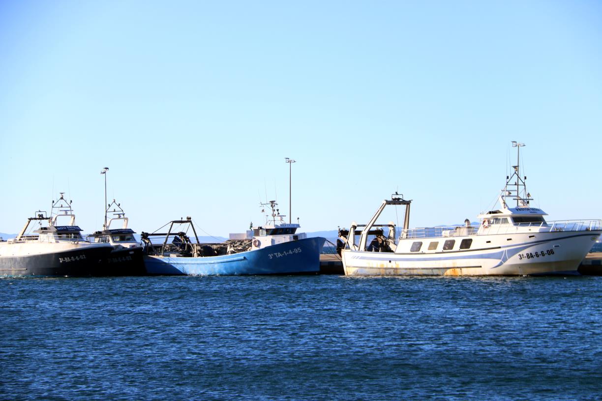 Els pescadors catalans no descarten la insubmissió en cas que la proposta de quotes de Brussel·les 