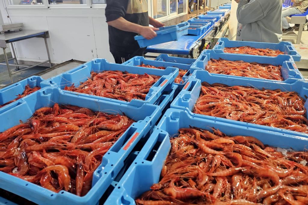 Els pescadors demanen que 