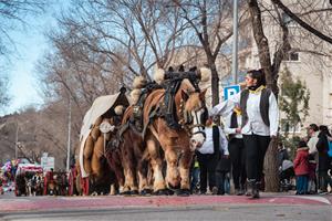 Els Tres Tombs de Vilafranca aplegaran de nou carros, carruatges, cavalls muntats i animals de companyia aquest diumenge. Amants dels Cavalls