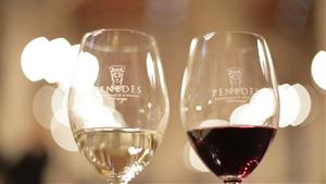 Els vins blancs de la DO Penedès brillen als Premis Decanter 2025. EIX