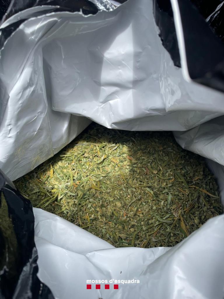 Enxampen un vehicle que transportava 16 sacs amb 173 quilos de marihuana en un control policial a Masquefa. Mossos d'Esquadra