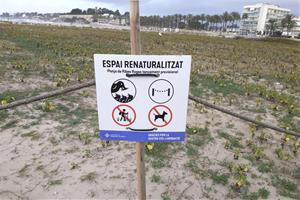 Espai renaturalitzat de la Platja de Ribes Roges. Eix