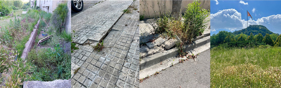Estat de deixadesa que pateixen diversos barris i espais verds del nostre municipi. Eix
