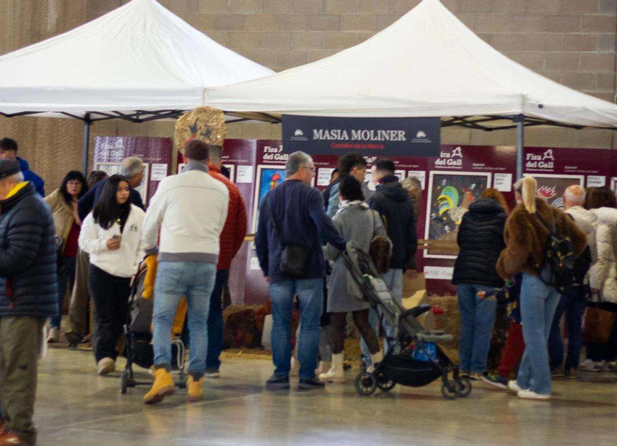 Imatges de la 361a Fira del Gall de Vilafranca. Miriam Diaz / La Fatxenda