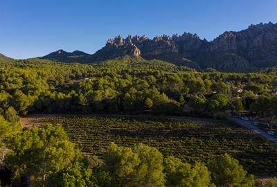 Èxit del Banc de Terres a la Conca d’Òdena: creix un 36% la superfície agrària disponible i augmenta l’interès de nous pagesos. Conca d’Òdena