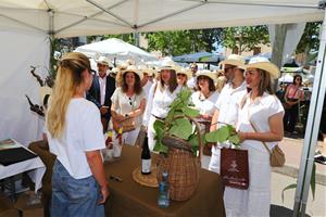 Èxit del Retorn dels Indians i l'Agromercat a Sant Pere de Ribes