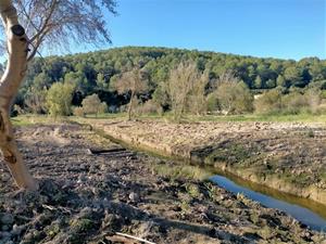 Finalitzen les obres de millora ambiental a la cua del pantà del Foix. CC Alt Penedès