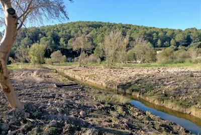 Finalitzen les obres de millora ambiental a la cua del pantà del Foix. CC Alt Penedès