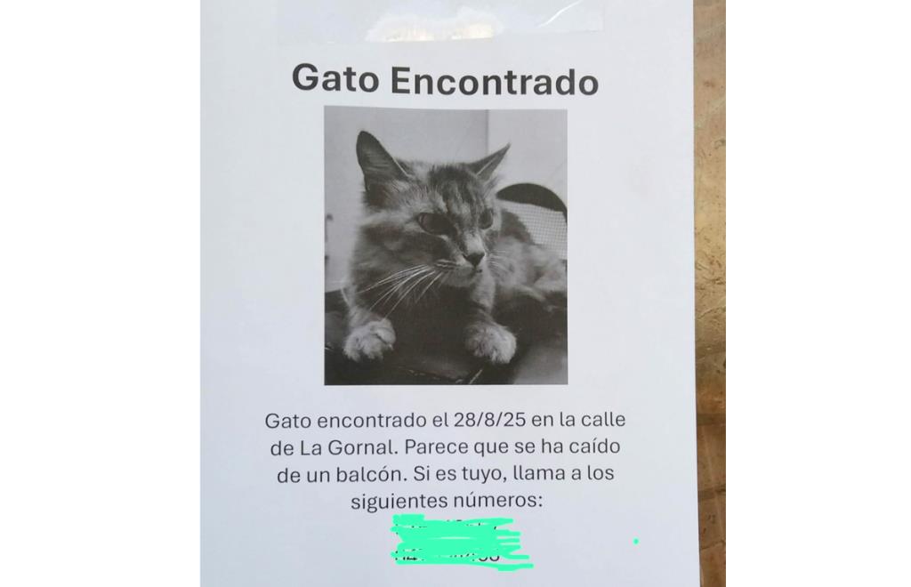 Gato encontrado. Ferran Savall