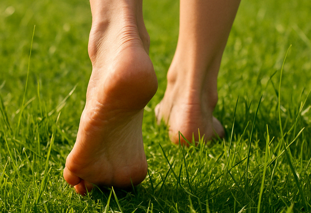 Grounding. Eix