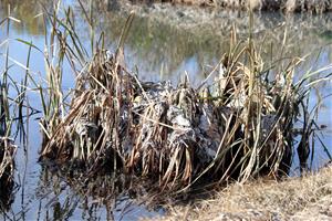 Igualada instal·la unes xarxes de retenció per evitar que les tovalloletes arribin al riu en episodis de pluges intenses