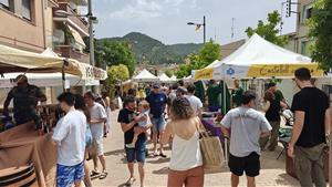 Imatge d'arxiu de Castellolí. Ajuntament de Castellolí