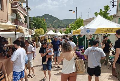 Imatge d'arxiu de Castellolí. Ajuntament de Castellolí