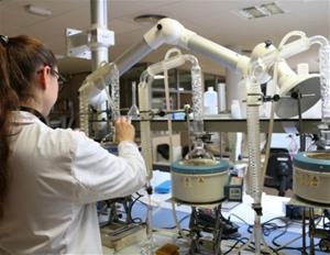 Imatge d'arxiu del laboratori de Vilafranca de l’Institut Català de la Vinya i el Vi (INCAVI) . INCAVI