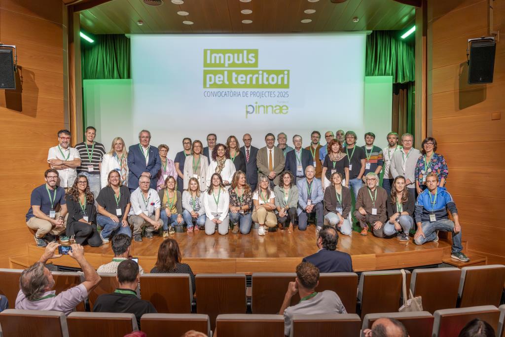 Innovació i compromís social: els projectes guanyadors de la Fundació Pinnae ja són una realitat. Fundació Pinnae