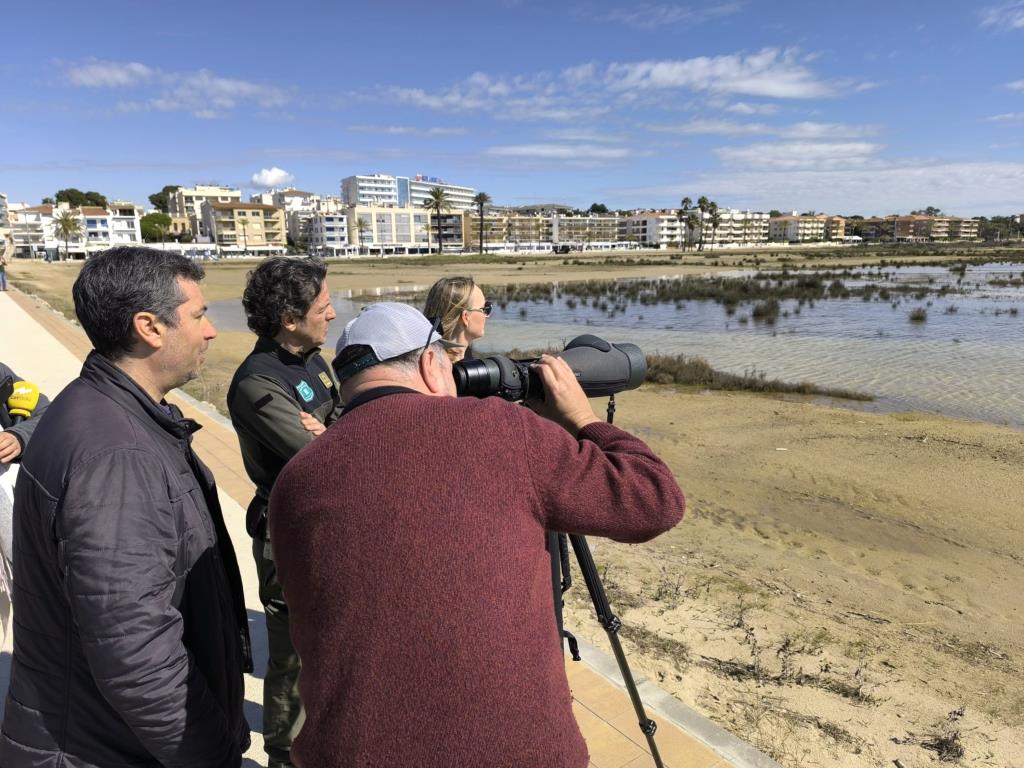 Intensifiquen les tasques de vigilància per protegir els nius del corriol camanegre a les platges del Vendrell. ACN